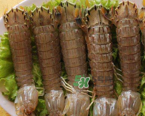 蝦蛄是皮皮蝦嗎？蝦蛄和皮皮蝦的區(qū)別