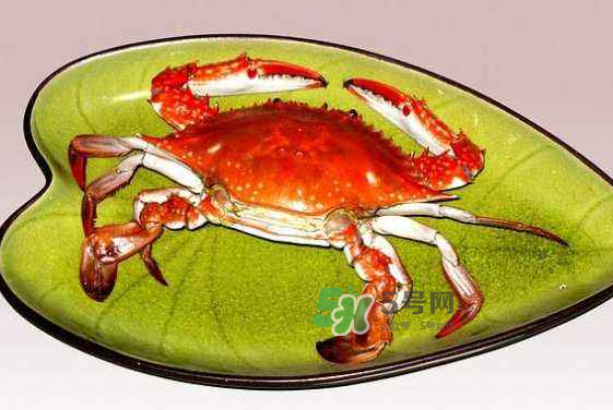 海螃蟹蒸多長時間？海螃蟹蒸多久？