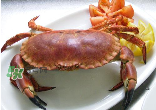 海螃蟹能冷凍保存嗎？海螃蟹放冰箱冷凍嗎？