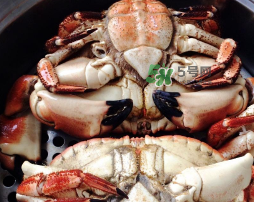 面包蟹可以直接蒸嗎？清蒸面包蟹怎么做？