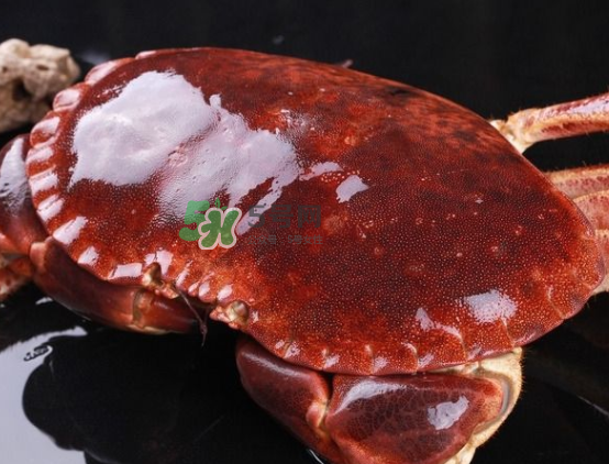 面包蟹不能和什么一起吃？吃面包蟹不能吃什么？