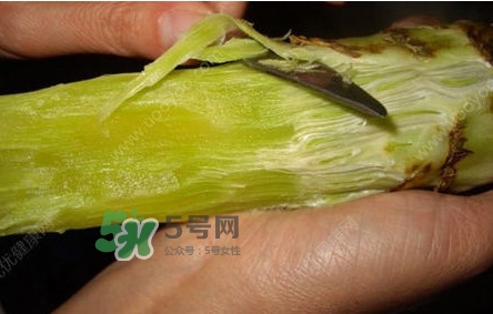 青筍怎么處理？青筍怎么切成菱形