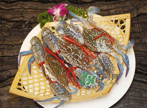 花蟹多少錢一斤 花蟹怎么挑 花蟹多少錢一斤 花蟹怎么挑