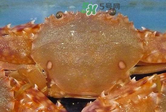 ?花蟹可以放冰箱嗎？花蟹怎么保存才新鮮？