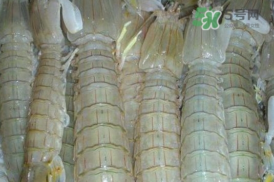 蝦蛄怎么讀？蝦蛄多少錢一斤