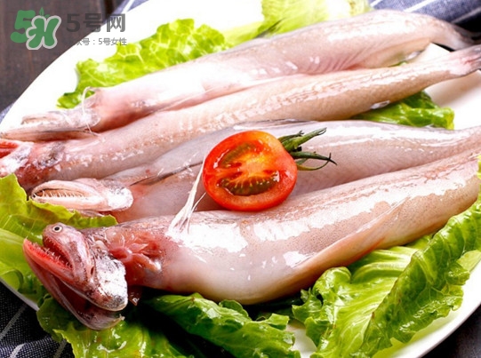 龍頭魚是海魚嗎？龍頭魚是海鮮嗎