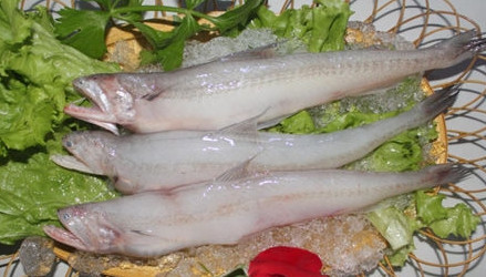龍頭魚怎么做好吃？龍頭魚干怎么做好吃