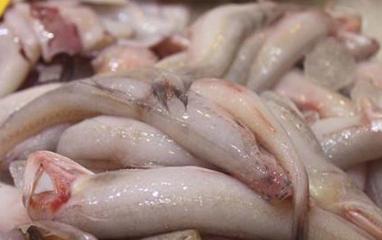 龍頭魚怎么做好吃？龍頭魚干怎么做好吃