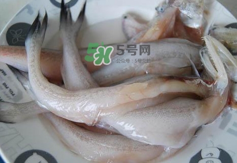 龍頭魚(yú)怎么殺？龍頭魚(yú)怎么處理？