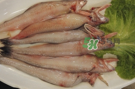 龍頭魚(yú)怎么殺？龍頭魚(yú)怎么處理？