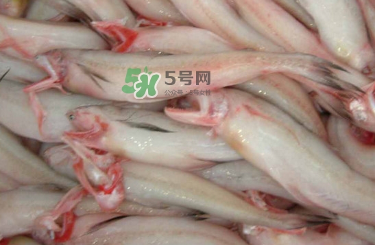 龍頭魚怎么炸？龍頭魚怎么做湯