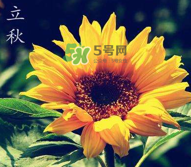 立秋后是不是早晚天氣涼？立秋后天氣有什么變化？