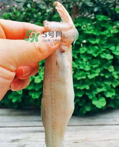 水潺怎么讀？水潺是海鮮嗎