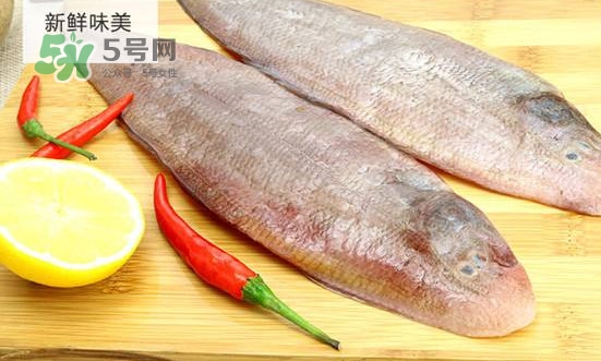 龍利魚怎么挑選？龍利魚與越南巴沙魚的區(qū)別
