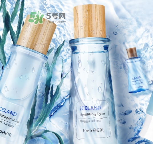 the saem冰島水乳多少錢_得鮮冰島水乳專柜價格 the saem冰島水乳多少錢_得鮮冰島水乳專柜價格