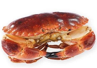 面包蟹和帝王蟹哪個好吃？面包蟹好吃還是帝王蟹好吃？