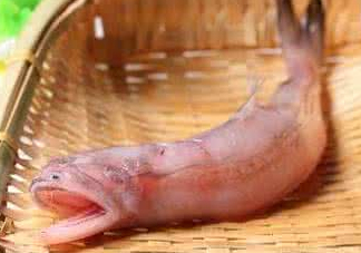 龍頭魚身是什么神獸？龍頭魚身是什么寓意