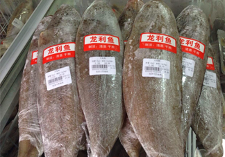 龍利魚(yú)怎么挑選？龍利魚(yú)與越南巴沙魚(yú)的區(qū)別