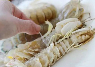 蝦蛄怎么讀？蝦蛄多少錢(qián)一斤