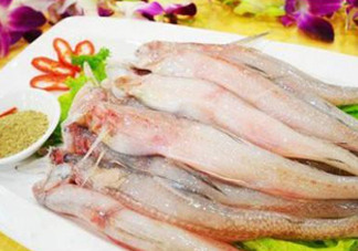 龍頭魚孕婦可以吃嗎？孕婦能吃龍頭魚嗎