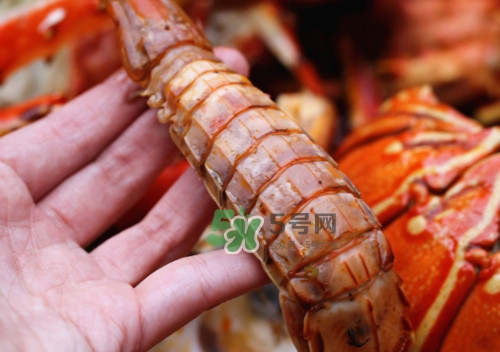 蝦蛄怎么吃？蝦蛄怎么做好吃？