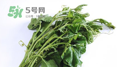 南瓜苗怎么做好吃？南瓜苗怎么撕？