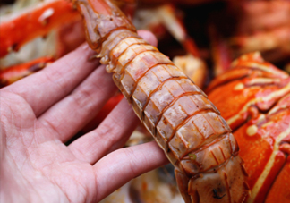 蝦蛄怎么吃？蝦蛄怎么做好吃？