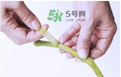 南瓜苗怎么做好吃？南瓜苗怎么撕？