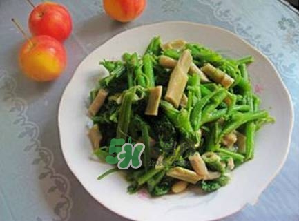 南瓜苗怎么做好吃？南瓜苗怎么撕？