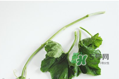 南瓜苗怎么做好吃？南瓜苗怎么撕？