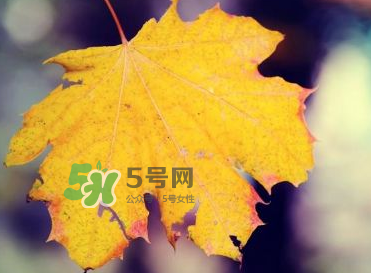 立秋后吃什么好？立秋后怎么養(yǎng)生？