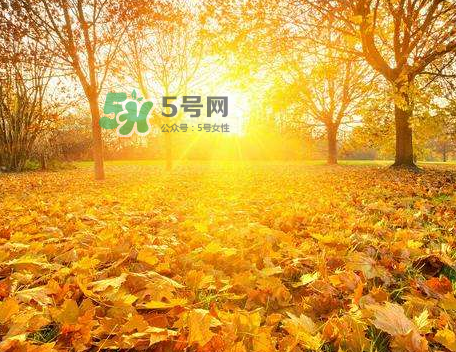 立秋后吃什么好？立秋后怎么養(yǎng)生？