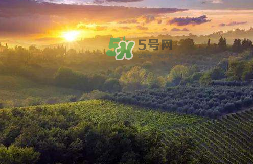 立秋后吃什么好？立秋后怎么養(yǎng)生？