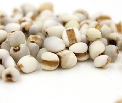 雞頭米是蓮子嗎？雞頭米是薏米嗎