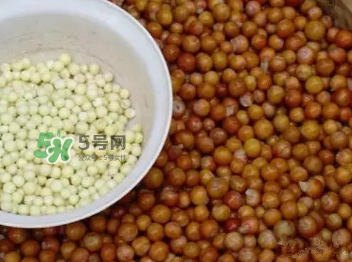 雞頭米一次吃多少合適？雞頭米可以多吃嗎