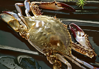 梭子蟹放冷藏還是冷凍？梭子蟹可以放速凍嗎？