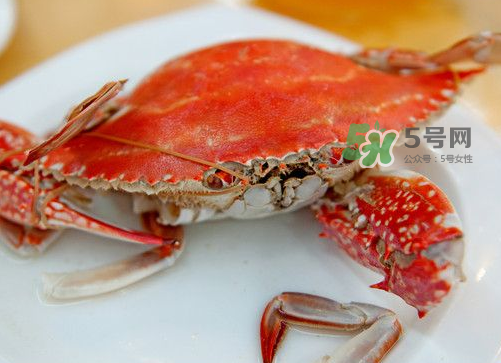 梭子蟹可以清蒸嗎？梭子蟹蒸還是煮？