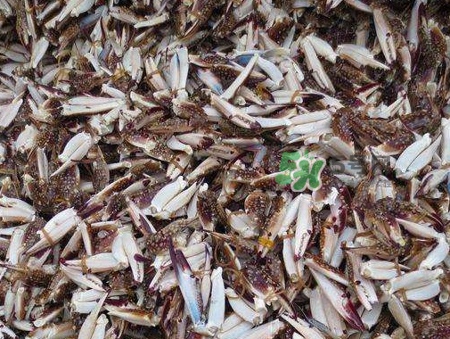 冷凍的梭子蟹能吃嗎？冷凍的梭子蟹怎么做？