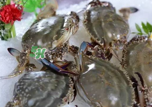 梭子蟹放冷藏還是冷凍？梭子蟹可以放速凍嗎？