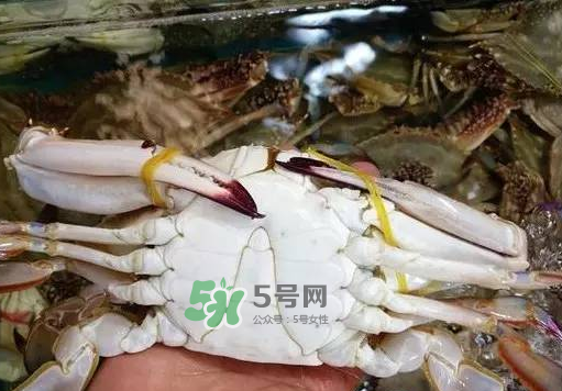 梭子蟹放冷藏還是冷凍？梭子蟹可以放速凍嗎？