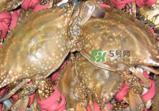 梭子蟹放冷藏還是冷凍？梭子蟹可以放速凍嗎？