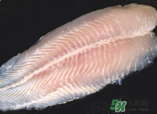 龍利魚有刺嗎？龍利魚有魚鱗嗎