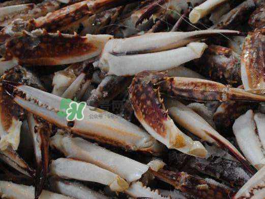 梭子蟹放冷藏能活多久？梭子蟹放冷凍保存多久？