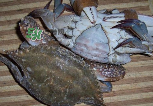 梭子蟹放冷藏能活多久？梭子蟹放冷凍保存多久？