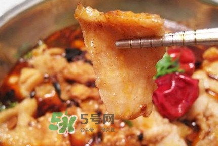 龍利魚有寄生蟲嗎？龍利魚有假的嗎