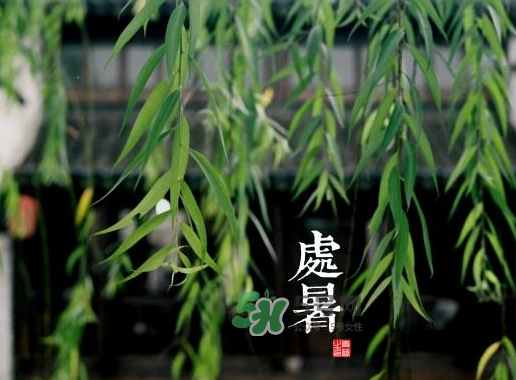 2017處暑還熱嗎？2017處暑后天氣還熱嗎？