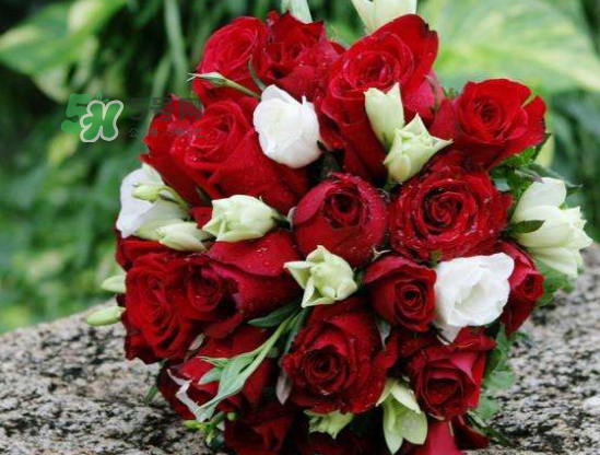 2017處暑結(jié)婚好嗎？2017處暑可以結(jié)婚嗎？