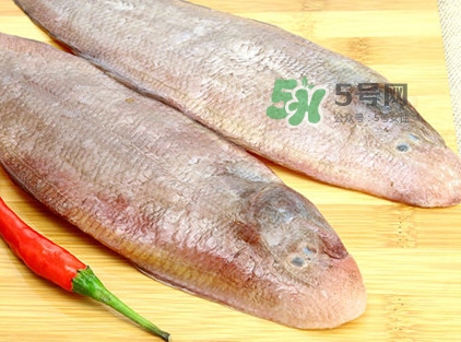 寶寶多大能吃龍利魚？幾個(gè)月的寶寶可以吃龍利魚