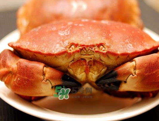 面包蟹一只多少斤？面包蟹一只多少錢？