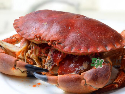 面包蟹一只多少斤？面包蟹一只多少錢？